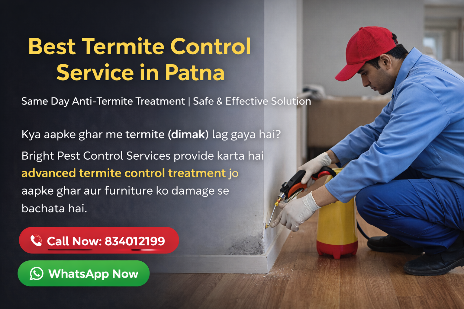 Best Termite Control Service in Patna