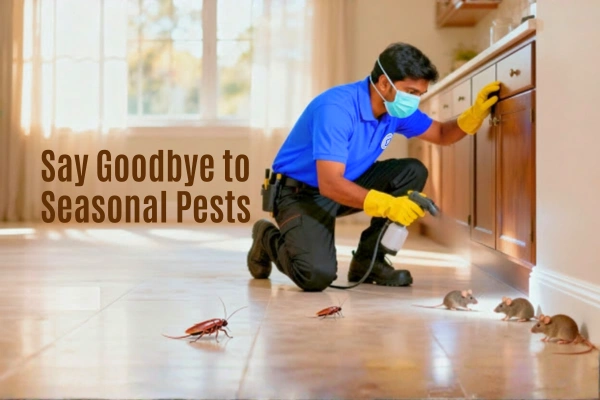 Best Pest Control Service in Patna – Same Day Service